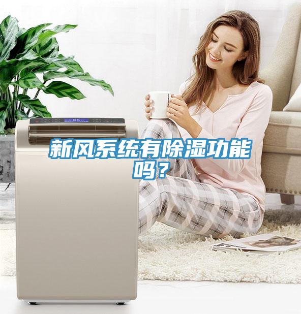 新風(fēng)系統(tǒng)有除濕功能嗎？