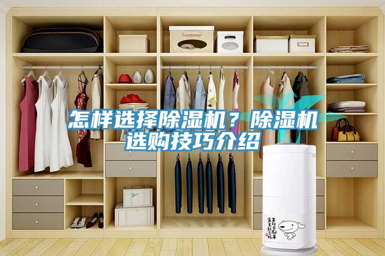 怎樣選擇除濕機(jī)？除濕機(jī)選購(gòu)技巧介紹