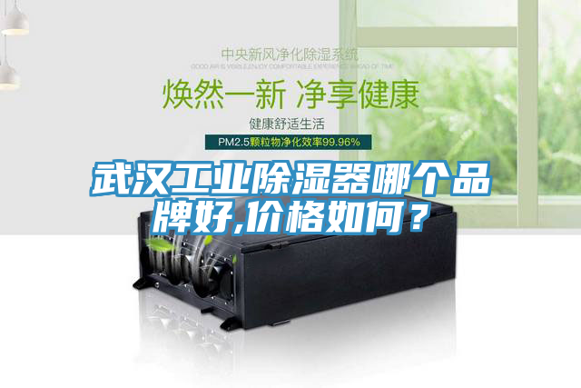 武漢工業(yè)除濕器哪個(gè)品牌好,價(jià)格如何？