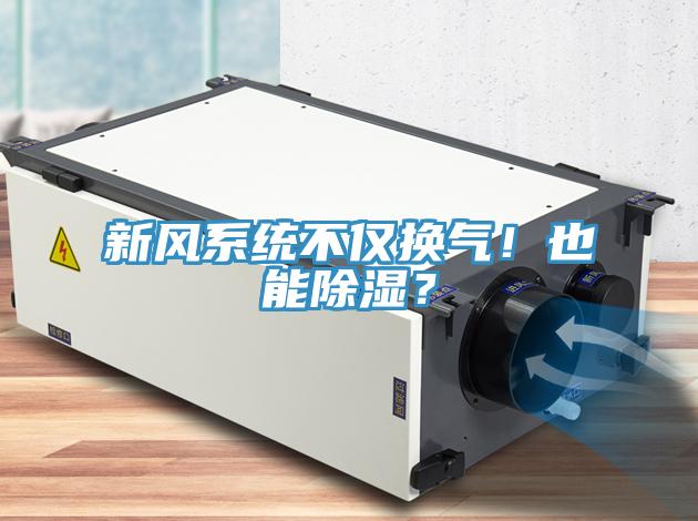 新風(fēng)系統(tǒng)不僅換氣！也能除濕？