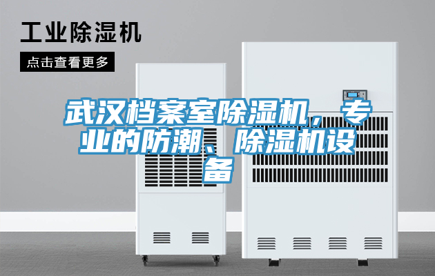 武漢檔案室除濕機(jī)，專業(yè)的防潮、除濕機(jī)設(shè)備