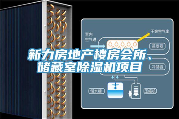 新力房地產(chǎn)樓房會所、儲藏室除濕機項目