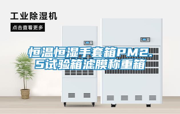 恒溫恒濕手套箱PM2.5試驗箱濾膜稱重箱