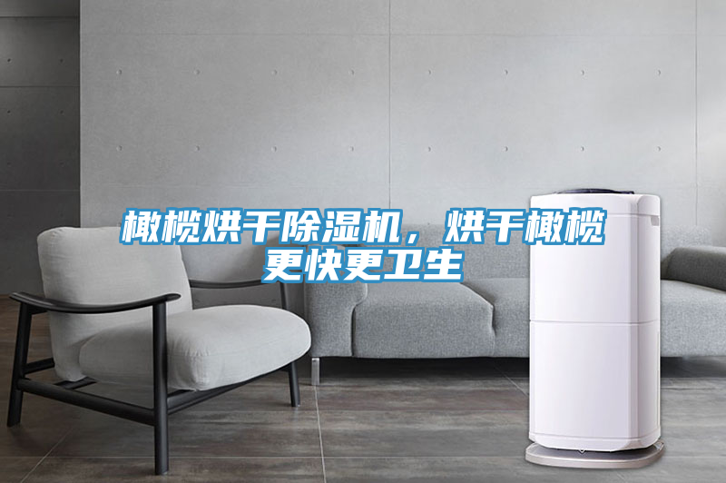 橄欖烘干除濕機(jī)，烘干橄欖更快更衛(wèi)生