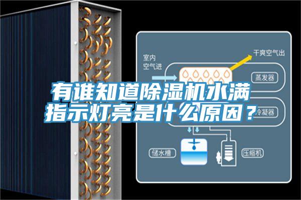 有誰知道除濕機(jī)水滿指示燈亮是什么原因？