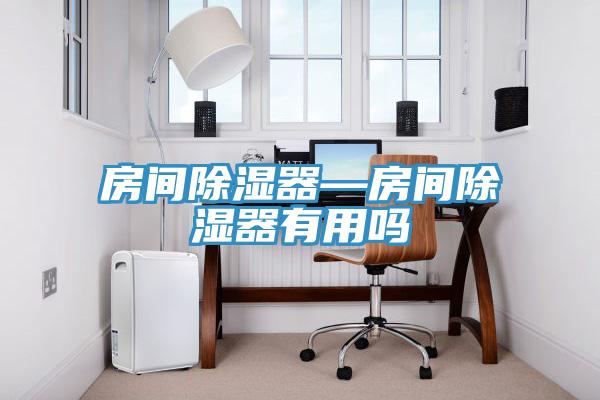 房間除濕器—房間除濕器有用嗎