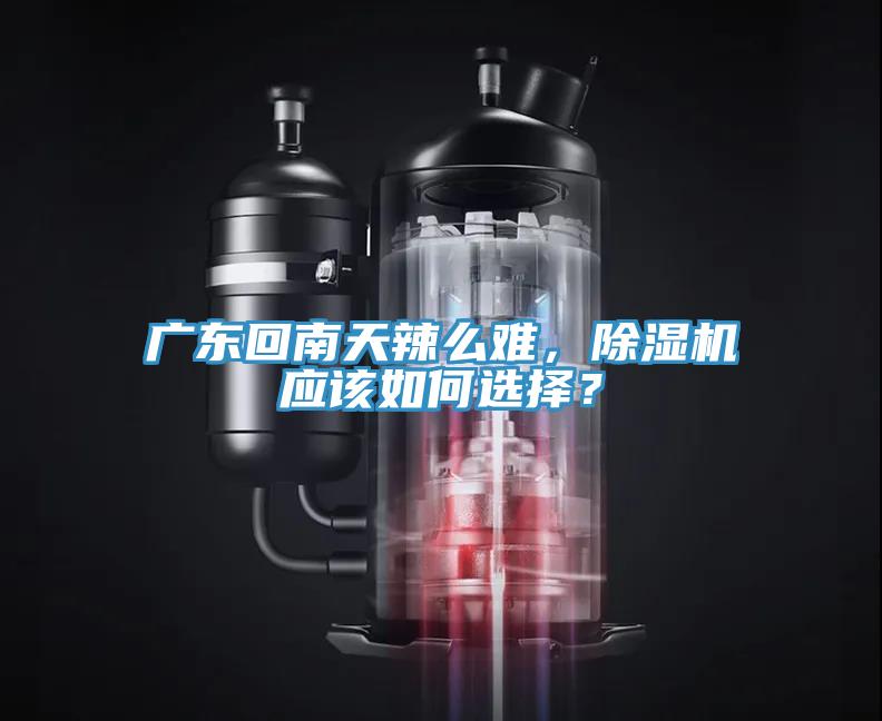 廣東回南天辣么難，除濕機(jī)應(yīng)該如何選擇？
