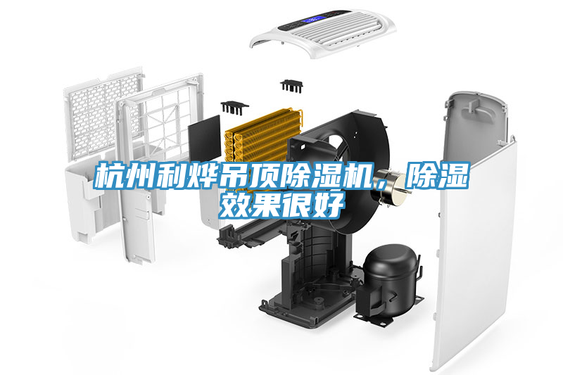 杭州利燁吊頂除濕機(jī)，除濕效果很好