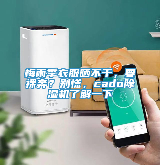 梅雨季衣服曬不干，要裸奔？別慌，cado除濕機了解一下