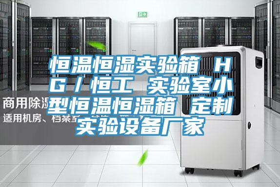 恒溫恒濕實(shí)驗(yàn)箱 HG／恒工 實(shí)驗(yàn)室小型恒溫恒濕箱 定制實(shí)驗(yàn)設(shè)備廠家