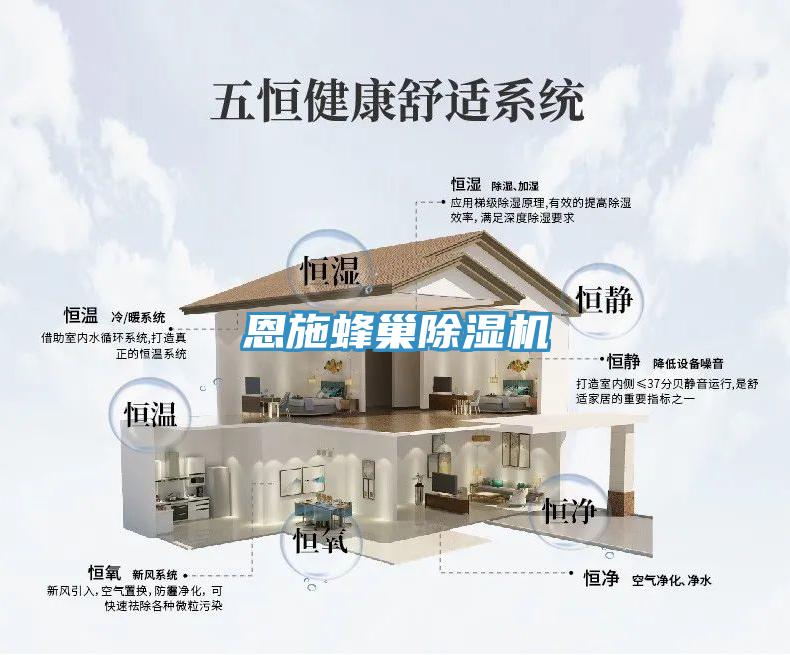 恩施蜂巢除濕機(jī)