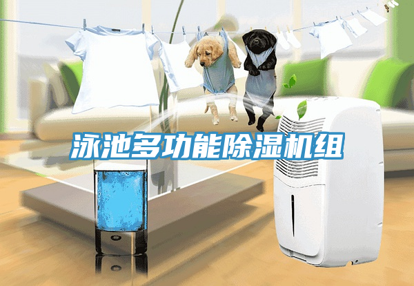 泳池多功能除濕機(jī)組