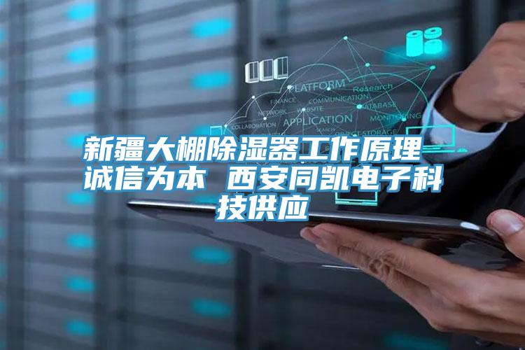 新疆大棚除濕器工作原理 誠(chéng)信為本 西安同凱電子科技供應(yīng)