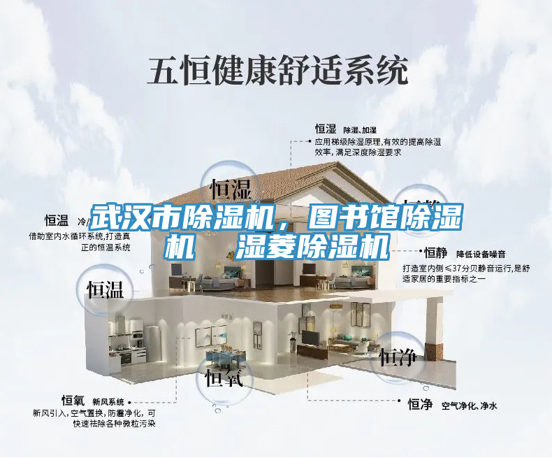 武漢市除濕機(jī)，圖書(shū)館除濕機(jī)  濕菱除濕機(jī)