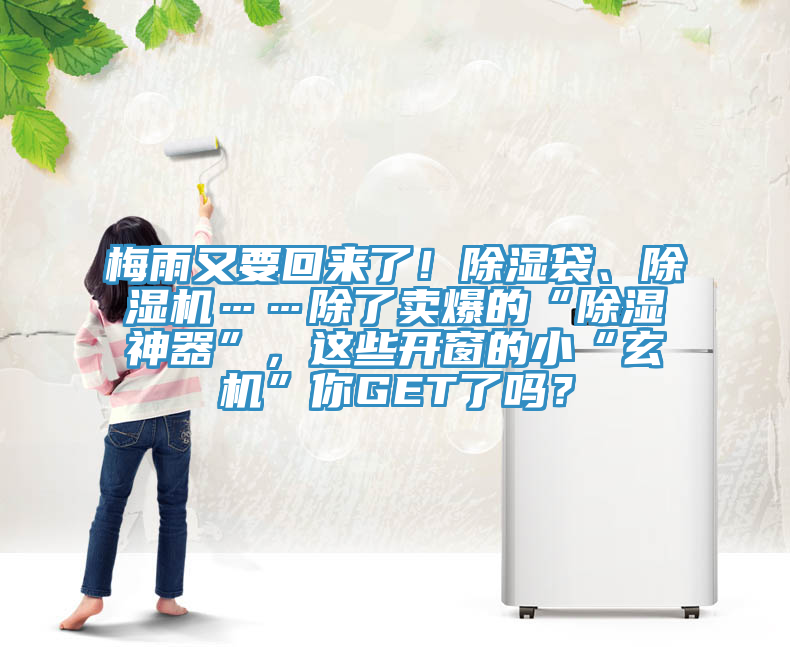 梅雨又要回來了！除濕袋、除濕機……除了賣爆的“除濕神器”，這些開窗的小“玄機”你GET了嗎？