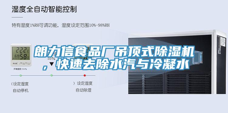朗力信食品廠吊頂式除濕機(jī)，快速去除水汽與冷凝水
