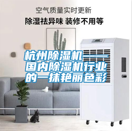 杭州除濕機(jī)——國內(nèi)除濕機(jī)行業(yè)的一抹艷麗色彩