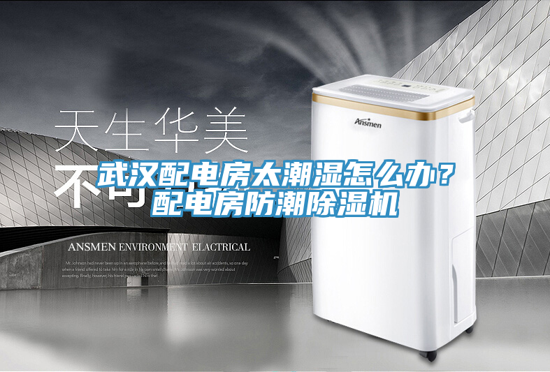 武漢配電房太潮濕怎么辦？配電房防潮除濕機