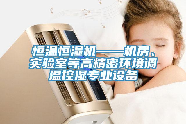 恒溫恒濕機(jī)——機(jī)房、實(shí)驗(yàn)室等高精密環(huán)境調(diào)溫控濕專業(yè)設(shè)備