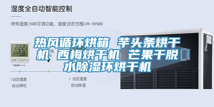 熱風(fēng)循環(huán)烘箱 芋頭條烘干機(jī) 西梅烘干機(jī) 芒果干脫水除濕環(huán)烘干機(jī)
