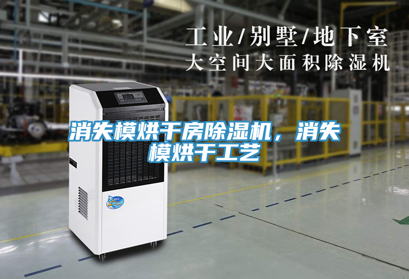 消失模烘干房除濕機(jī)，消失模烘干工藝