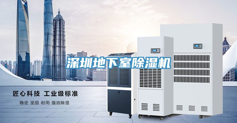 深圳地下室除濕機(jī)