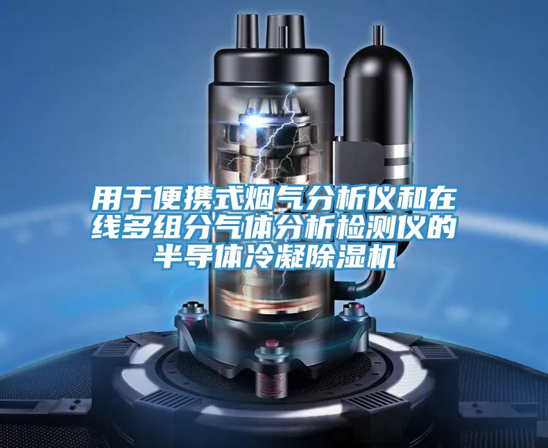 用于便攜式煙氣分析儀和在線多組分氣體分析檢測儀的半導(dǎo)體冷凝除濕機(jī)