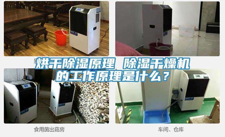 烘干除濕原理 除濕干燥機(jī)的工作原理是什么？