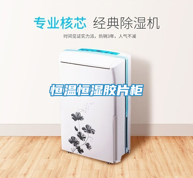 恒溫恒濕膠片柜