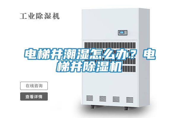 電梯井潮濕怎么辦？電梯井除濕機