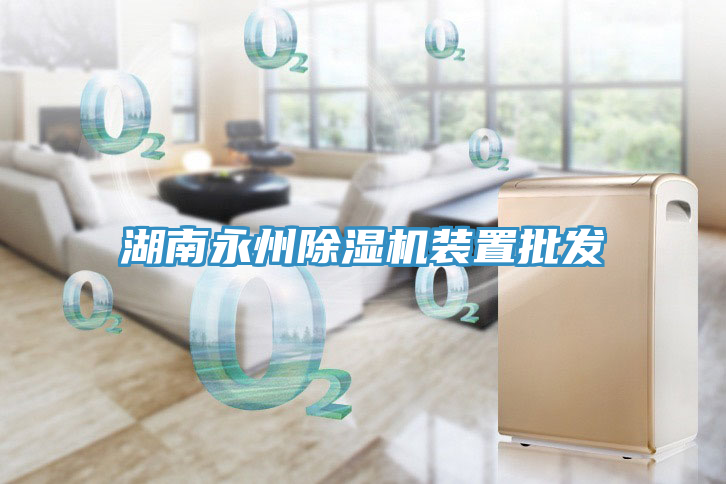 湖南永州除濕機(jī)裝置批發(fā)