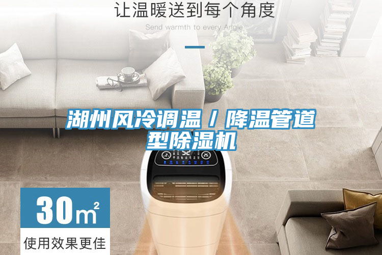 湖州風(fēng)冷調(diào)溫／降溫管道型除濕機(jī)