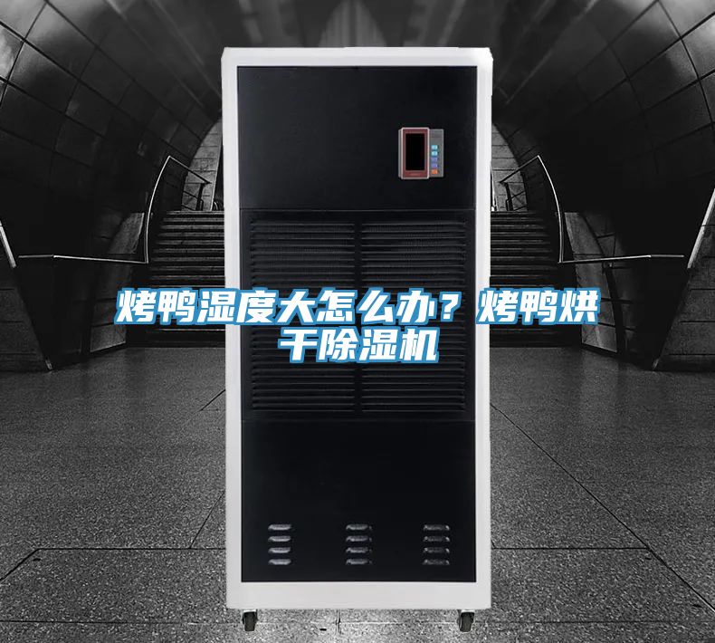 烤鴨濕度大怎么辦？烤鴨烘干除濕機(jī)