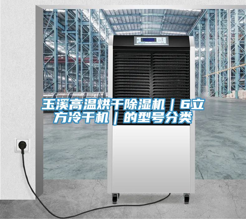 玉溪高溫烘干除濕機(jī)｜6立方冷干機(jī)｜的型號(hào)分類(lèi)