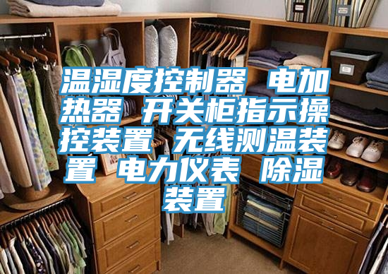 溫濕度控制器 電加熱器 開(kāi)關(guān)柜指示操控裝置 無(wú)線測(cè)溫裝置 電力儀表 除濕裝置