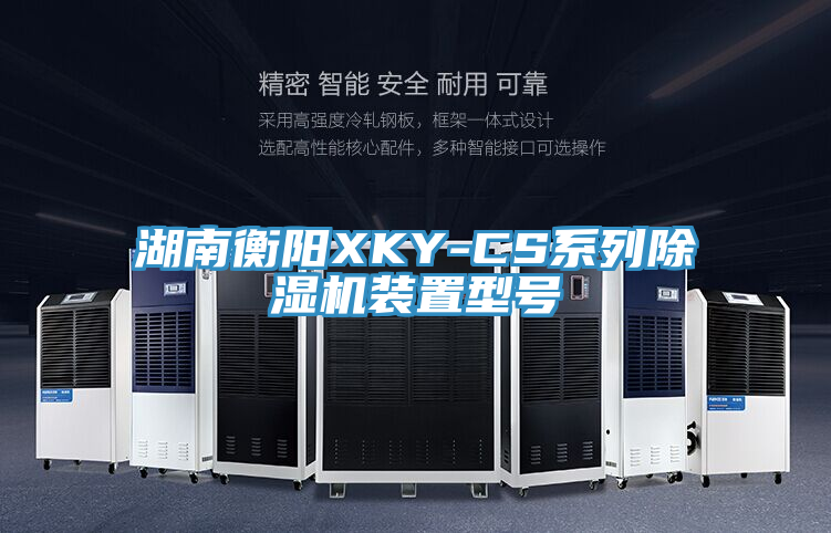 湖南衡陽(yáng)XKY-CS系列除濕機(jī)裝置型號(hào)