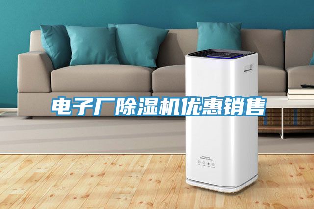電子廠除濕機(jī)優(yōu)惠銷(xiāo)售