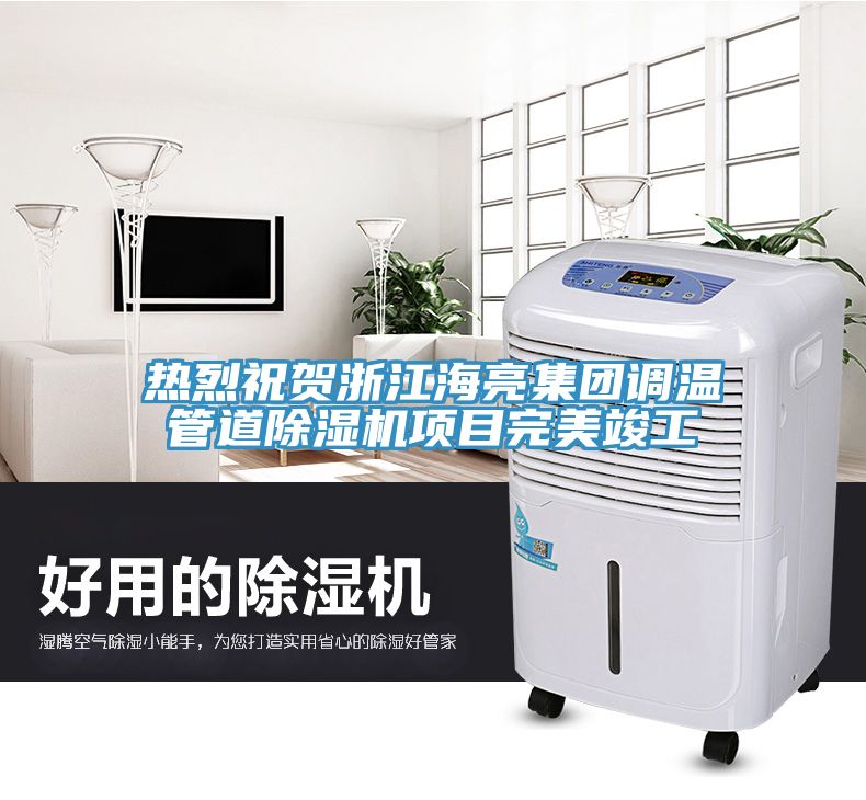 熱烈祝賀浙江海亮集團(tuán)調(diào)溫管道除濕機(jī)項(xiàng)目完美竣工