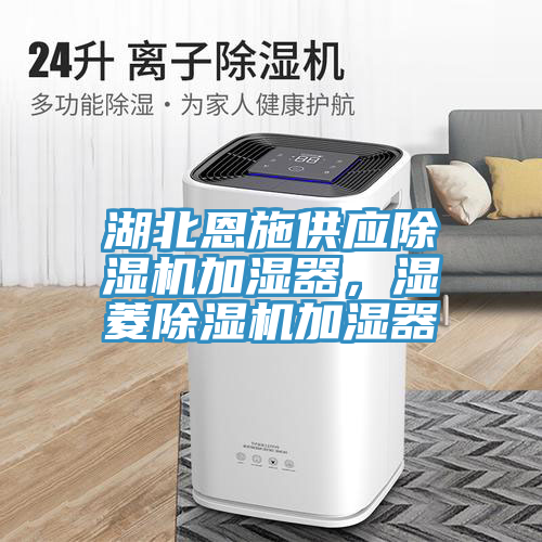 湖北恩施供應(yīng)除濕機(jī)加濕器，濕菱除濕機(jī)加濕器