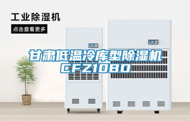 甘肅低溫冷庫(kù)型除濕機(jī)CFZ10BD