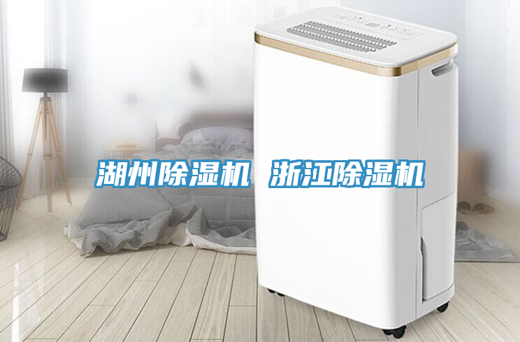 湖州除濕機(jī) 浙江除濕機(jī)