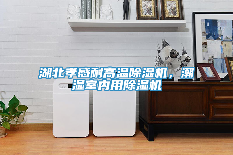 湖北孝感耐高溫除濕機(jī)，潮濕室內(nèi)用除濕機(jī)