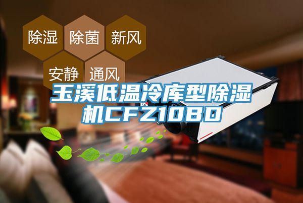玉溪低溫冷庫(kù)型除濕機(jī)CFZ10BD