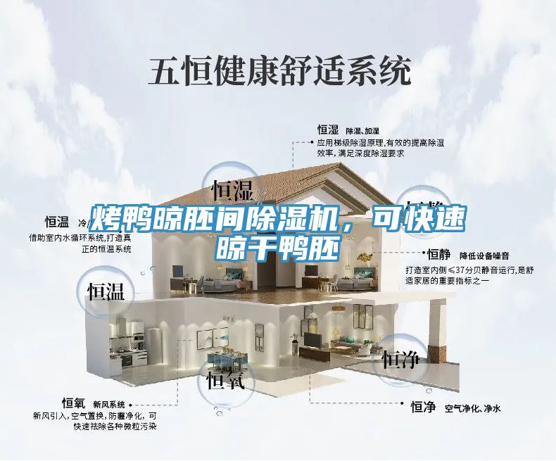 烤鴨晾胚間除濕機(jī)，可快速晾干鴨胚