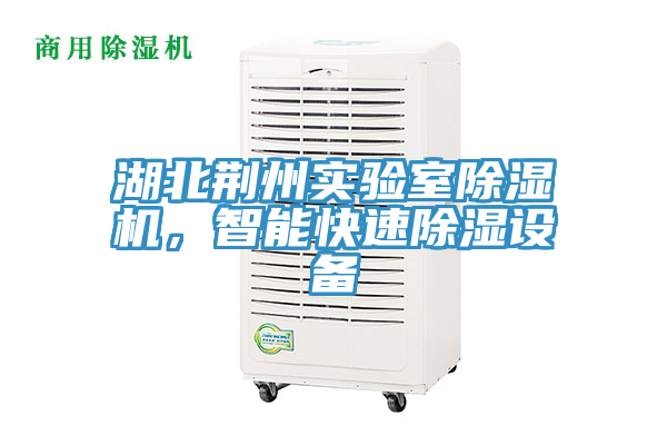 湖北荊州實(shí)驗(yàn)室除濕機(jī)，智能快速除濕設(shè)備
