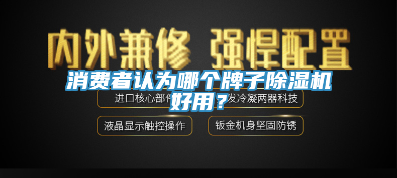 消費(fèi)者認(rèn)為哪個(gè)牌子除濕機(jī)好用？