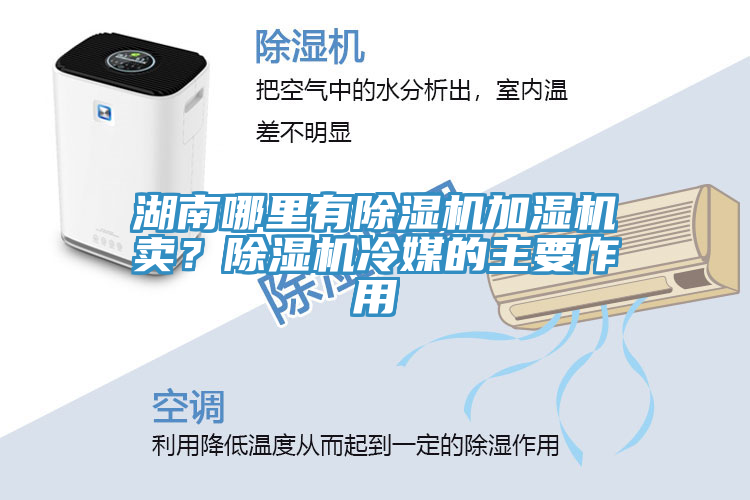 湖南哪里有除濕機(jī)加濕機(jī)賣(mài)？除濕機(jī)冷媒的主要作用
