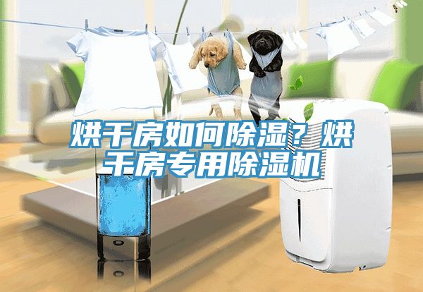 烘干房如何除濕？烘干房專用除濕機