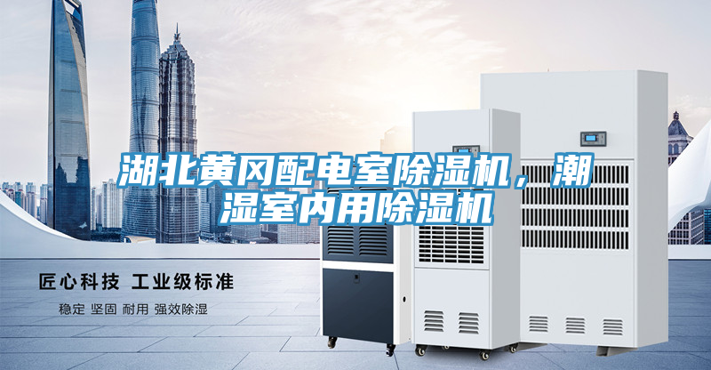 湖北黃岡配電室除濕機(jī)，潮濕室內(nèi)用除濕機(jī)