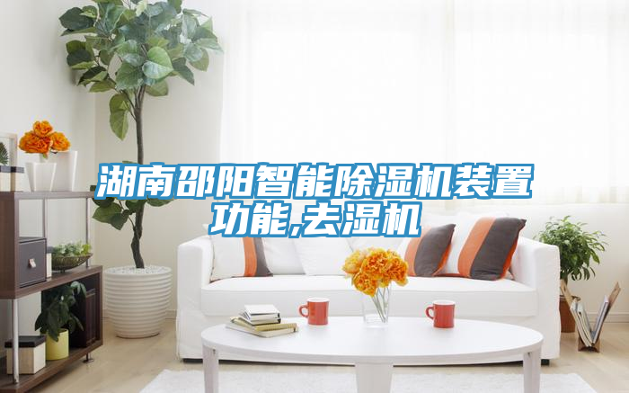 湖南邵陽(yáng)智能除濕機(jī)裝置功能,去濕機(jī)